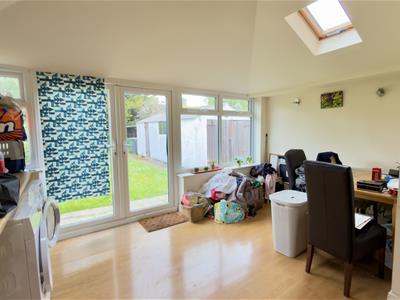 Picture 15
